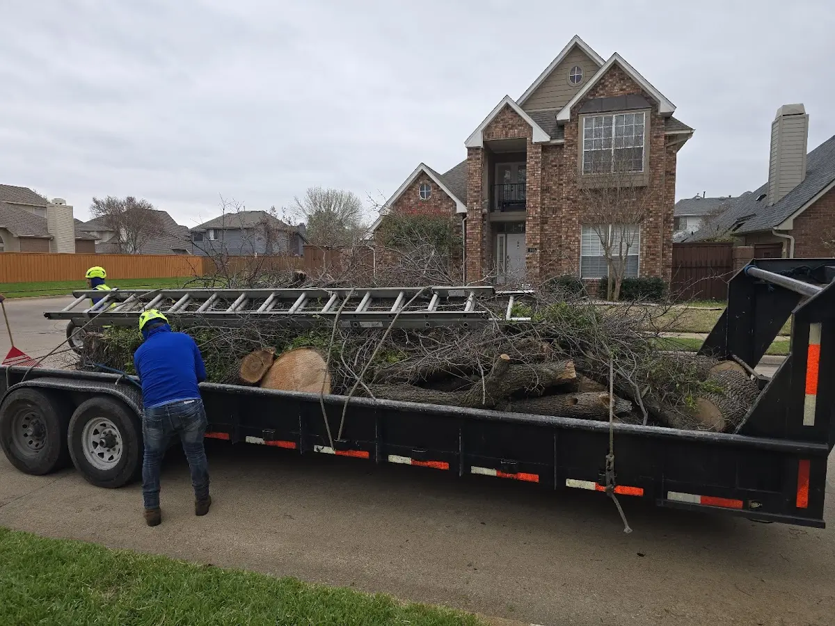 Expert Tree Fertilization with proper safety equipment in Mitchells